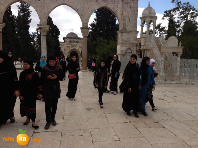 sane3atlud411 (4).jpg